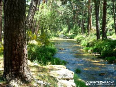 Pesquerías Reales - Monte de Valsaín; trekking y aventura; pedriza;gratis senderismo